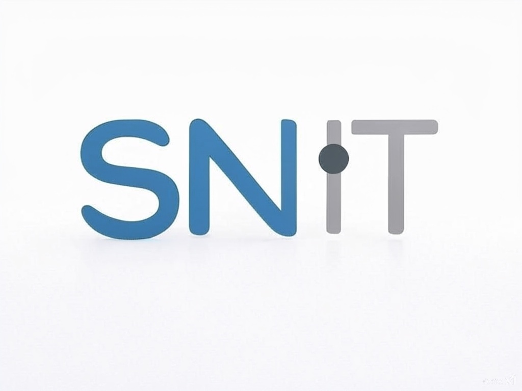 SN IT Logo